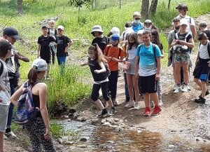 Yssingeaux : les écoliers de Saint-Gabriel jouent au Petit Poucet