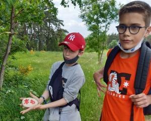 Yssingeaux : les écoliers de Saint-Gabriel jouent au Petit Poucet