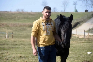 Yssingeaux : l&#039;Elevage des Sucs participe à la valorisation du cheval de race Auvergne