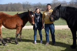 Yssingeaux : l&#039;Elevage des Sucs participe à la valorisation du cheval de race Auvergne