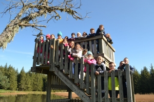 Des ateliers scientifiques sur le terrain pour les écoliers de Saint-Maurice-de-Lignon