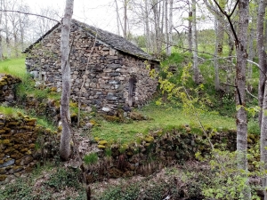 Queyrières : Jean Chapuis, ancien agriculteur et meunier, 100 ans à la maison