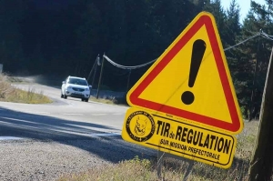 Bas-en-Basset : après des dégâts de sangliers, la préfecture autorise des battues administratives