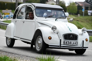 Onze voitures 2CV en goguette en Haute-Loire