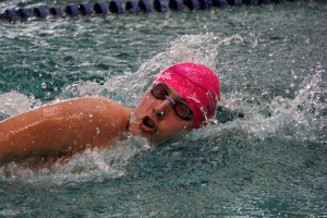 Natation : les podiums trustés par les nageurs de Marches du Velay