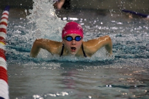 Natation : les podiums trustés par les nageurs de Marches du Velay