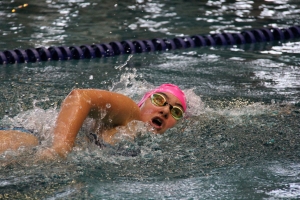 Natation : les podiums trustés par les nageurs de Marches du Velay