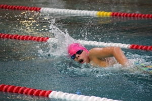 Natation : les podiums trustés par les nageurs de Marches du Velay