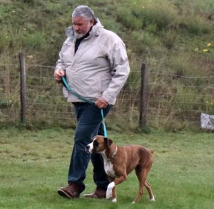 Yssingeaux : un concours d&#039;obéissance canine samedi et dimanche