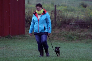 Yssingeaux : un concours d&#039;obéissance canine samedi et dimanche