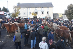 Fay-sur-Lignon : moins de chevaux mais des ventes en hausse