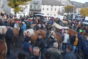 Fay-sur-Lignon : moins de chevaux mais des ventes en hausse