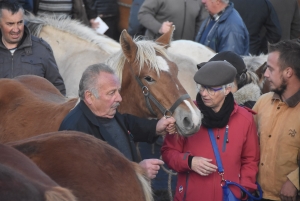 Fay-sur-Lignon : moins de chevaux mais des ventes en hausse