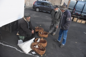 Fay-sur-Lignon : moins de chevaux mais des ventes en hausse