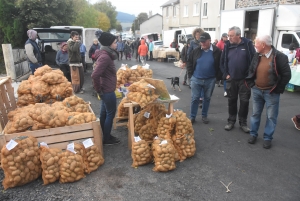 Fay-sur-Lignon : moins de chevaux mais des ventes en hausse