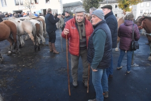 Fay-sur-Lignon : moins de chevaux mais des ventes en hausse