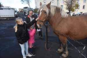 Fay-sur-Lignon : moins de chevaux mais des ventes en hausse