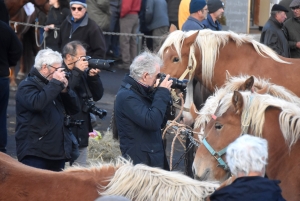 Fay-sur-Lignon : moins de chevaux mais des ventes en hausse