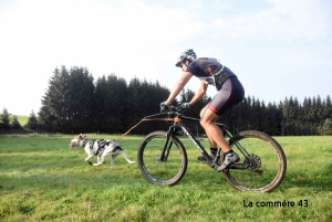 Retrouvez les résultats de la course de chiens de traineau à Saint-Front