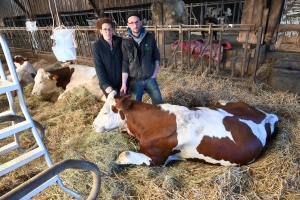 Saint-Maurice-de-Lignon : un acte de malveillance entraîne une hécatombe de leur troupeau de vaches