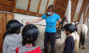 Filière Équine, ouverture du titre Animateur d&#039;Equitation