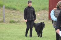 Yssingeaux : 42 chiens au concours d&#039;obéissance