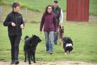 Yssingeaux : 42 chiens au concours d&#039;obéissance