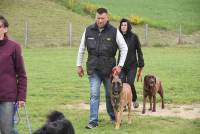 Yssingeaux : 42 chiens au concours d&#039;obéissance