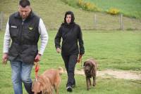 Yssingeaux : 42 chiens au concours d&#039;obéissance