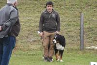 Yssingeaux : 42 chiens au concours d&#039;obéissance