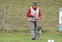 Yssingeaux : 42 chiens au concours d&#039;obéissance