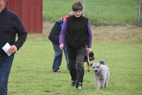 Yssingeaux : 42 chiens au concours d&#039;obéissance