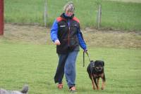 Yssingeaux : 42 chiens au concours d&#039;obéissance