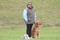 Yssingeaux : 42 chiens au concours d&#039;obéissance