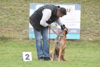 Yssingeaux : 42 chiens au concours d&#039;obéissance