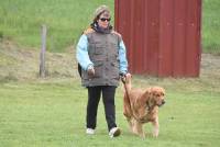 Yssingeaux : 42 chiens au concours d&#039;obéissance