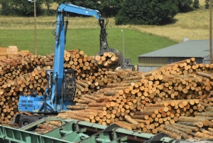 Araules : l&#039;entreprise Celle va construire une scierie du futur