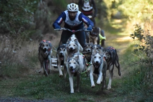 Saint-Front : retrouvez les résultats de la course de chiens de traineau