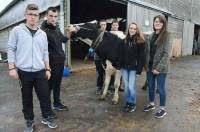 Ivoire est une vache de l&#039;exploitation agricole du lycée George-Sand.