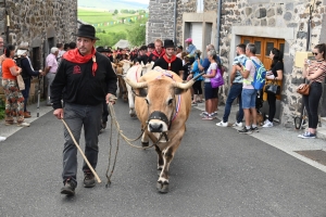 Le Fin Gras, emblème du Mézenc, fêté à Saint-Front (vidéo)