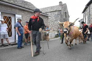 Le Fin Gras, emblème du Mézenc, fêté à Saint-Front (vidéo)