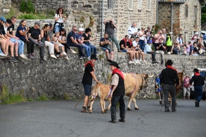 Le Fin Gras, emblème du Mézenc, fêté à Saint-Front (vidéo)