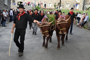 Le Fin Gras, emblème du Mézenc, fêté à Saint-Front (vidéo)