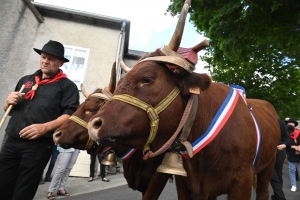 Le Fin Gras, emblème du Mézenc, fêté à Saint-Front (vidéo)