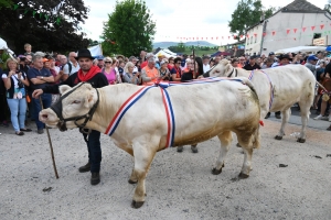 Le Fin Gras, emblème du Mézenc, fêté à Saint-Front (vidéo)