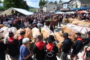 Le Fin Gras, emblème du Mézenc, fêté à Saint-Front (vidéo)