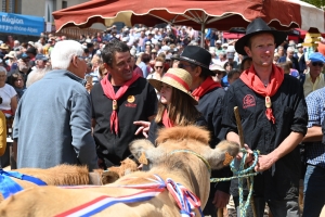 Le Fin Gras, emblème du Mézenc, fêté à Saint-Front (vidéo)