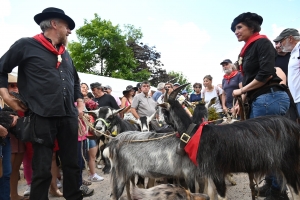 Le Fin Gras, emblème du Mézenc, fêté à Saint-Front (vidéo)