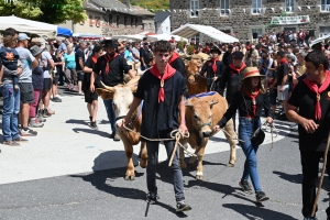 Le Fin Gras, emblème du Mézenc, fêté à Saint-Front (vidéo)