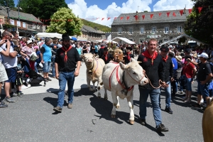 Le Fin Gras, emblème du Mézenc, fêté à Saint-Front (vidéo)